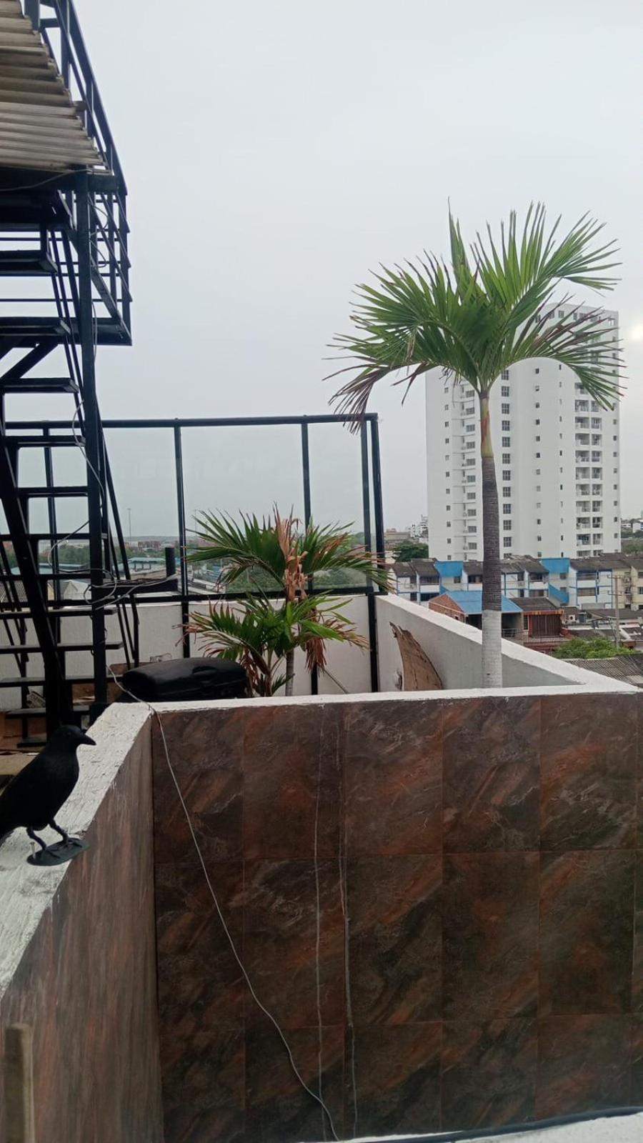 Ha Luxury Guest house 4*